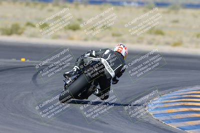 media/Apr-14-2024-SoCal Trackdays (Sun) [[70f97d3d4f]]/2-Turn 11 Backside (935am)/